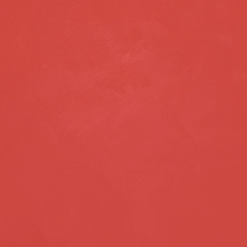 Vermelho-Paixao